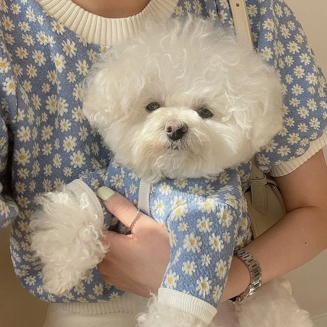 [Best for IG TT] Daisy Delight Lace Pet Outfit