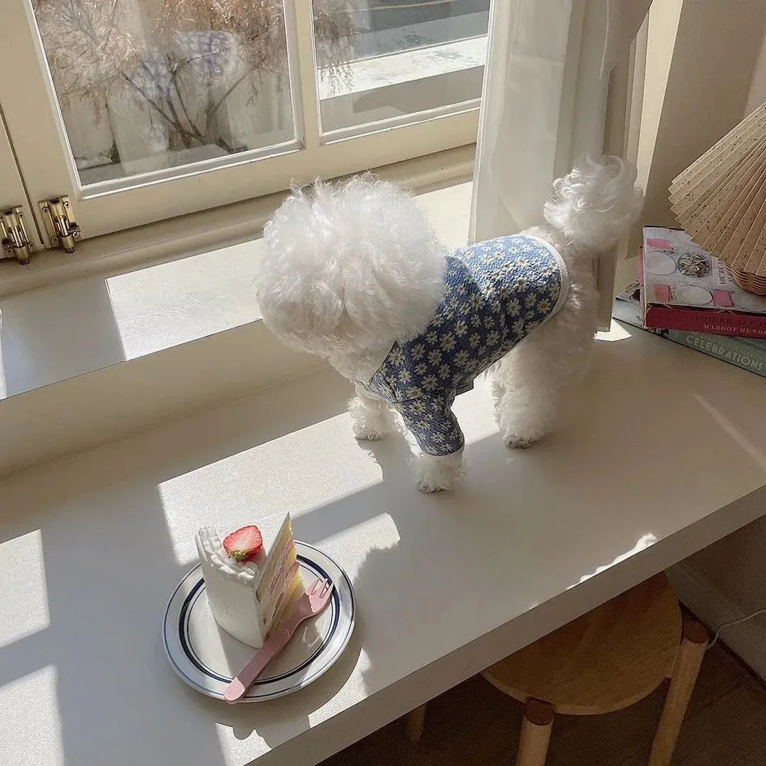 [Best for IG TT] Daisy Delight Lace Pet Outfit