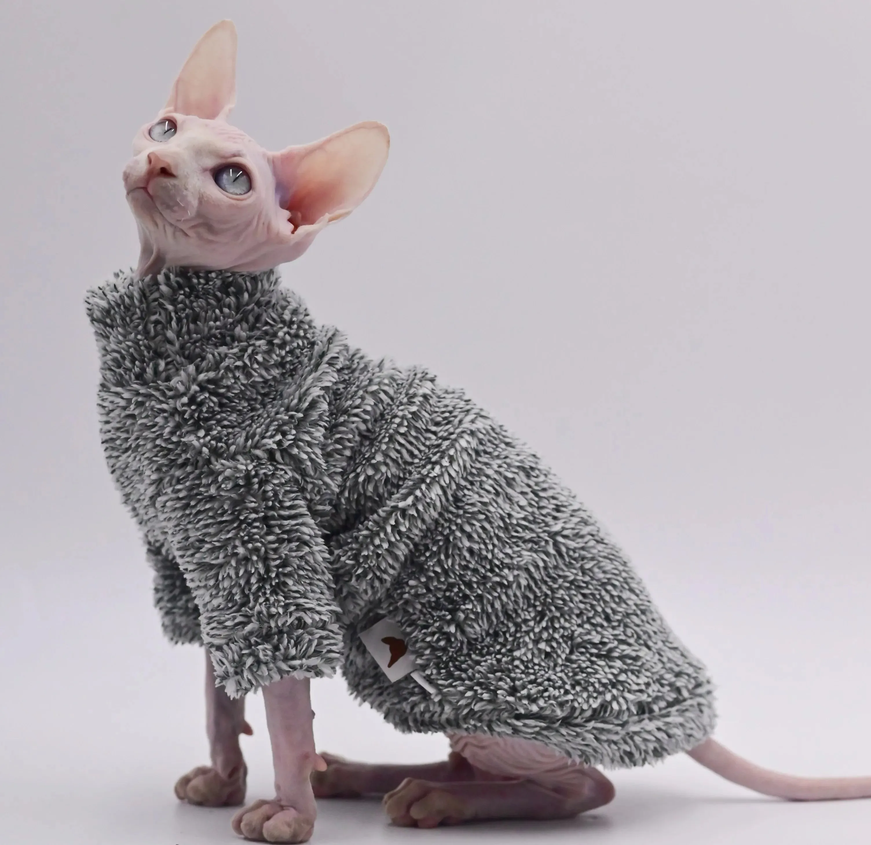 Hairless Cat Clothes Winter Camouflage | Warm Arctic Velvet Sphynx Cat Coat | Devon & Cornish Rex Cat Clothing