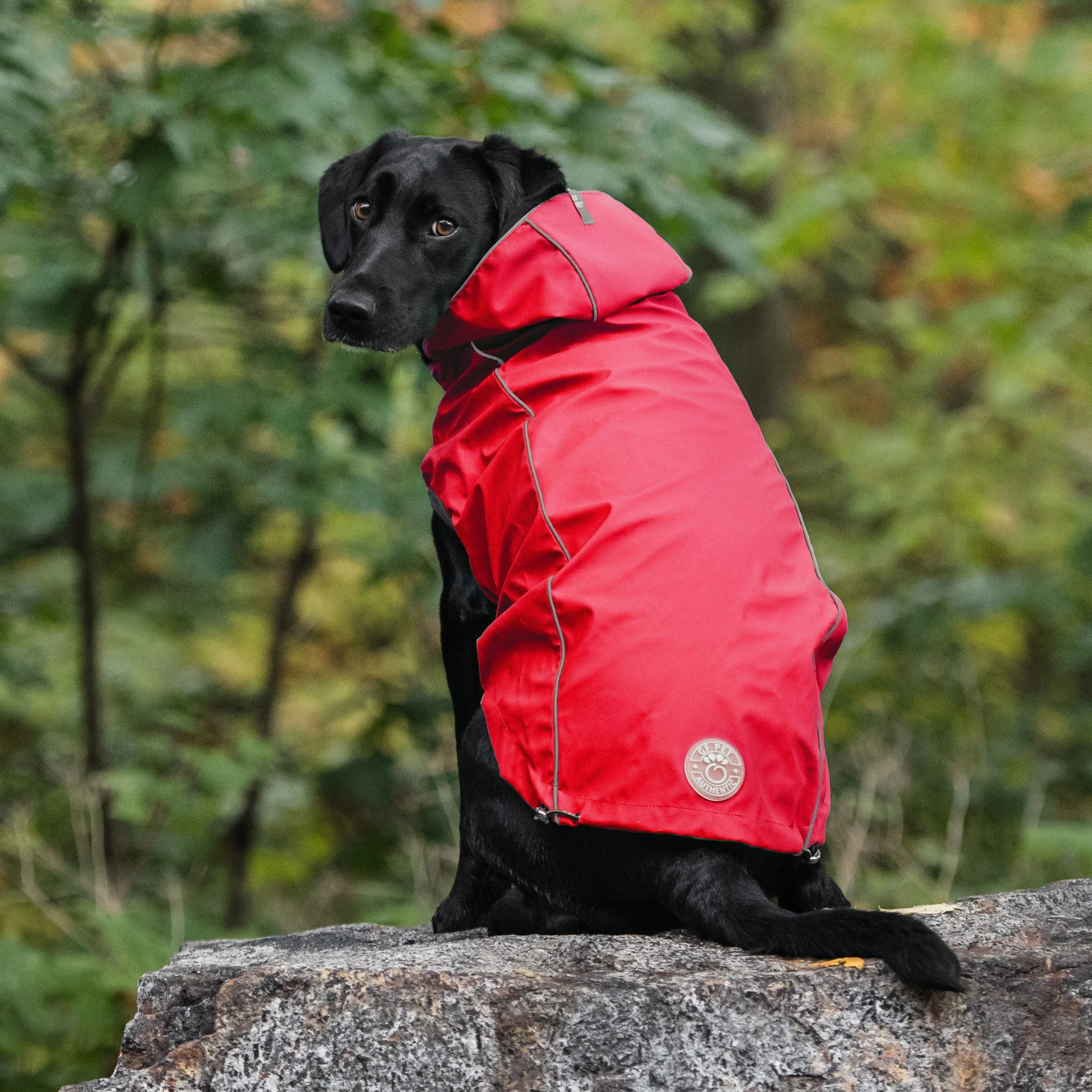 reversible raincoat - red/plaid